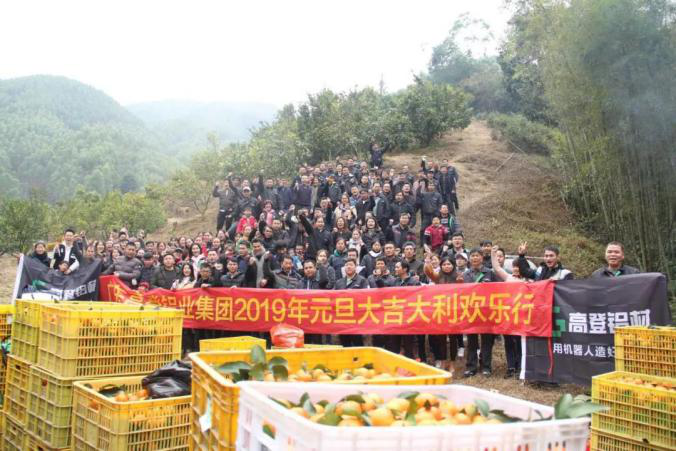 這一年，很多事，讓高登樂不思蜀